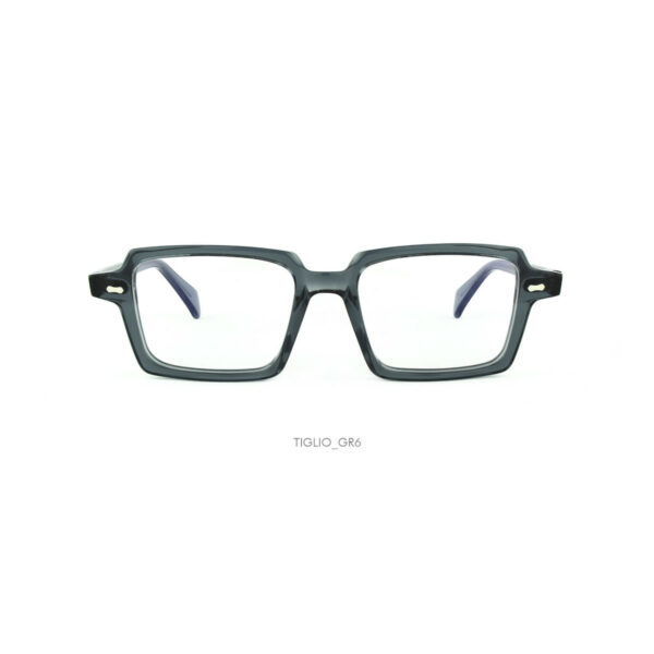 Oprawy okularowe Dandy's Tiglio model transparentne szary
